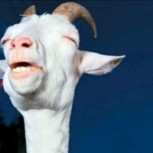 Meet your Posher, Skyler